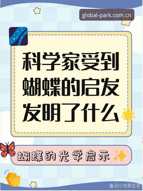 深度解码HAOBOSPORTS官网评测：体育平台背后的创新逻辑与你不知道的事